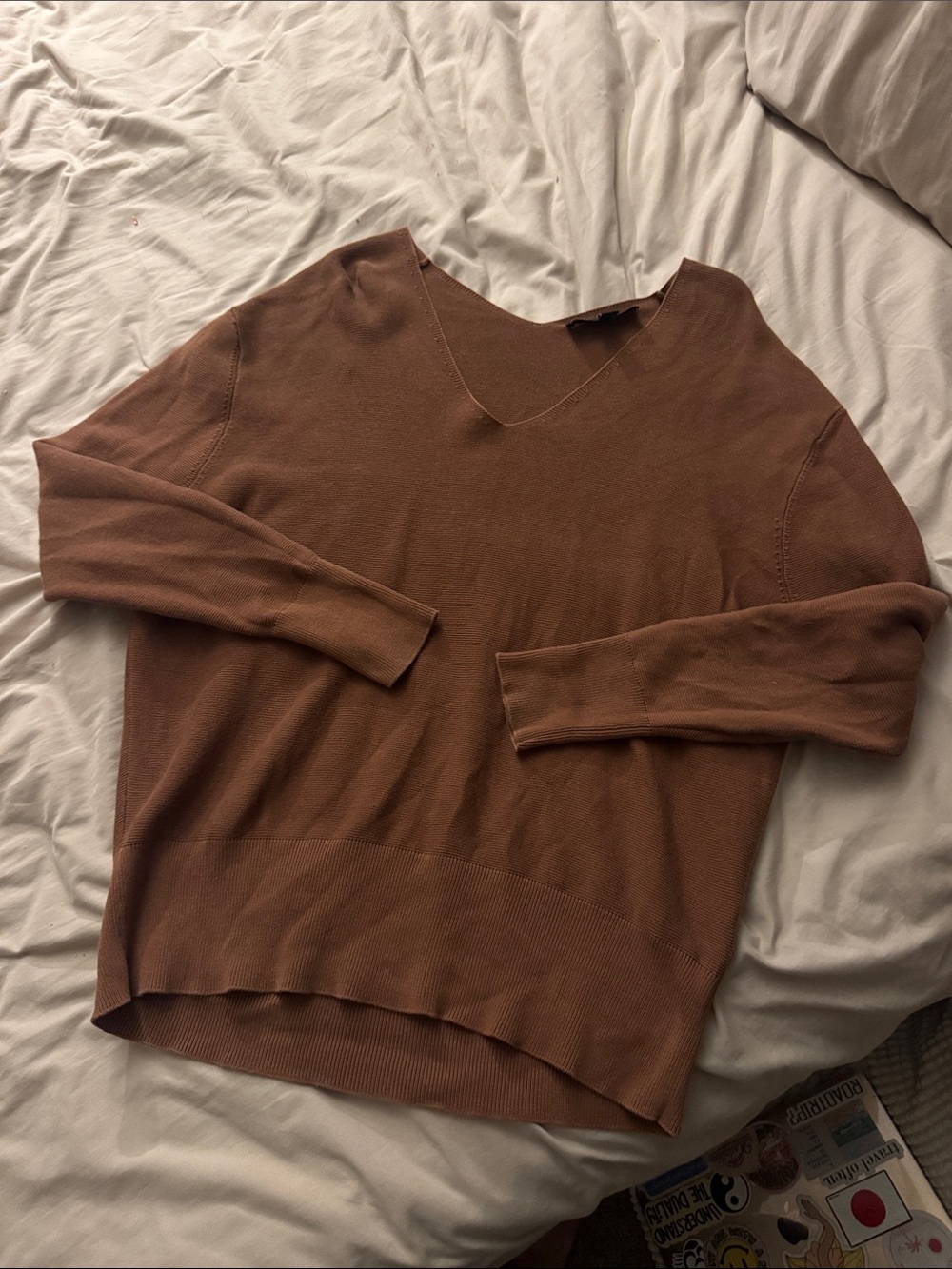 Zara V-Neck Brown Sweater